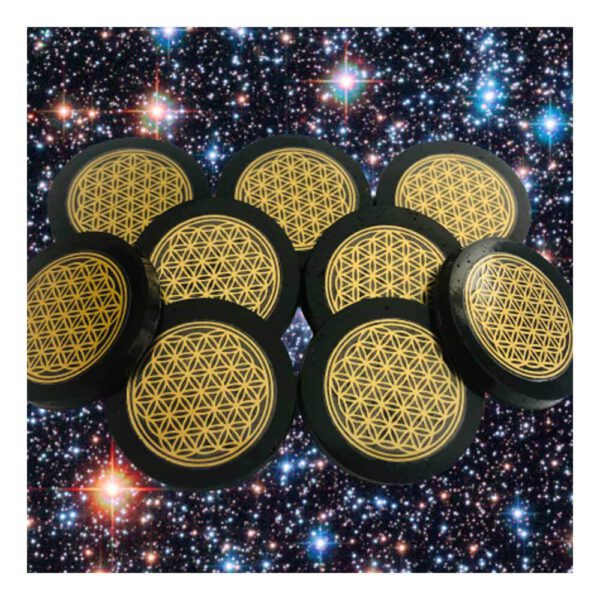 Disque d'Orgonite Anti-radiation Shop Spirituel
