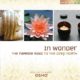 In Wonder Osho Meditation Cd 0714266920926 Musique Shop Spirituel Web